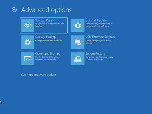 windows-11-advanced-options.png