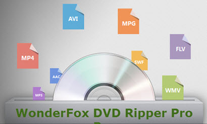 WonderFox DVD Ripper Pro 22.5 download the last version for mac