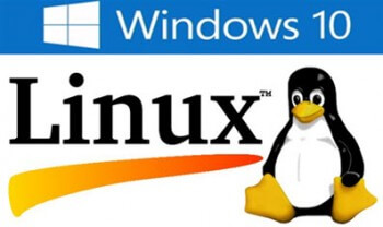 windows 10_linux_dual boot