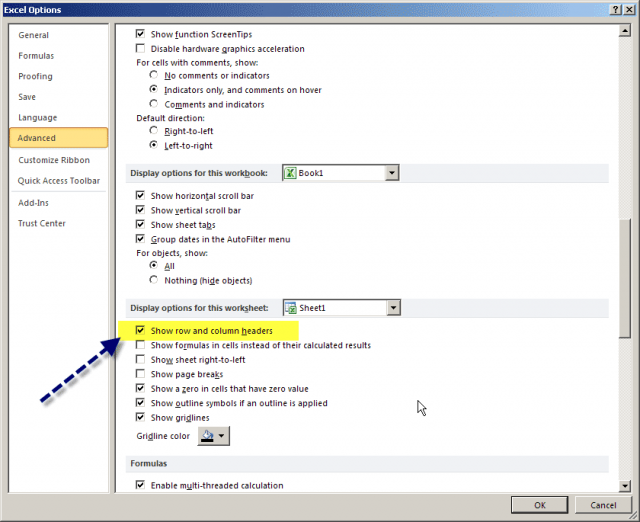 microsoft excel display options