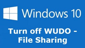 Windows-10-WUDO