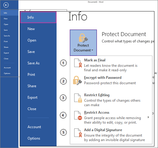 word 2016 how to protect a document from any editing