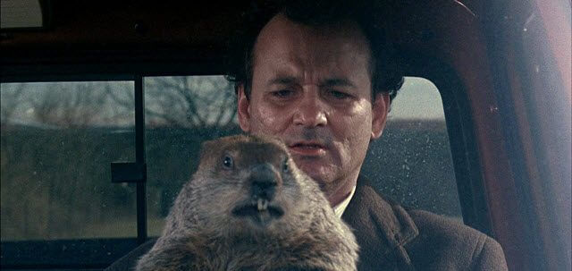 groundhog-day