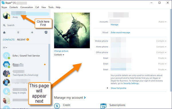 jow to change profile picture on skype web