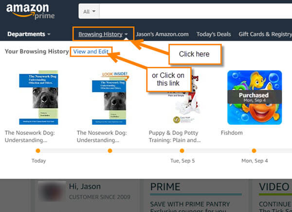 How To Delete Amazon Browsing History | lifescienceglobal.com