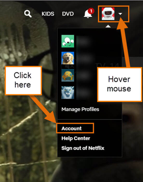 netflix font change custom