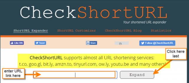 check-short-url-page