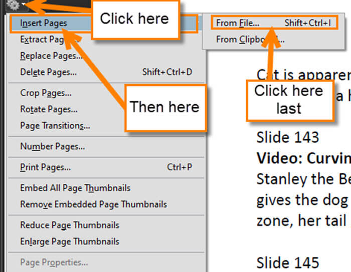 how to insert pdf into word document as a page