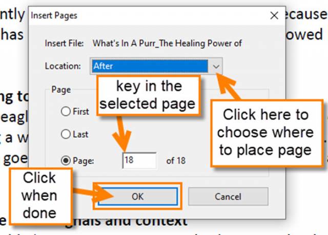insert-page-options