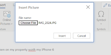 insert-file
