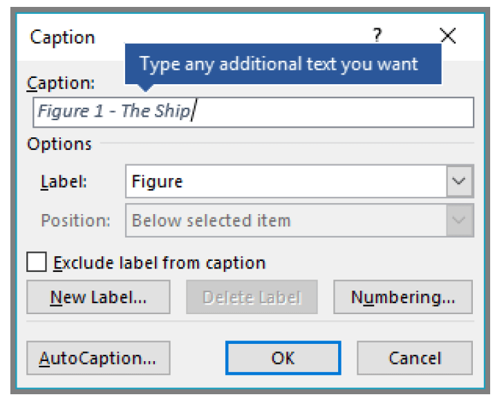 Add format. Add a caption. How to capture. Dialogue option select.