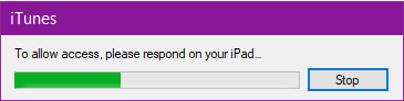 allow-access-on-ipad