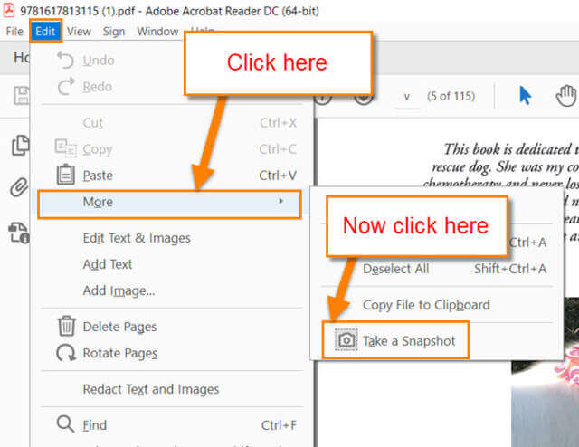 adobe-take-a-snapshot-option