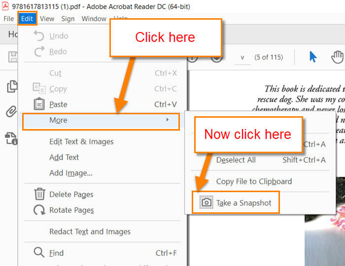 How To Take Snapshot Of A PDF Daves Computer Tips