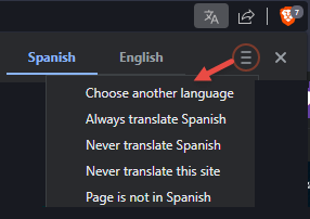 Brave Translate Options