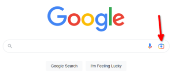 google-lens-search-icon