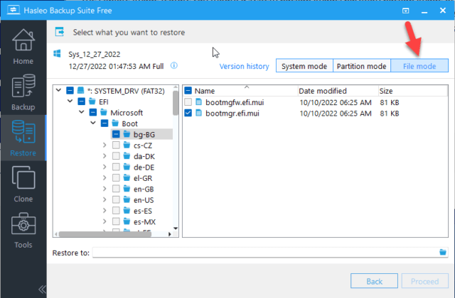 instal the last version for windows Hasleo Backup Suite 3.8