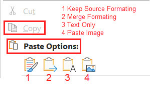 office-paste-options