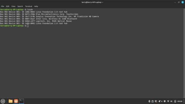 linux-mint-terminal-device-listing-usb