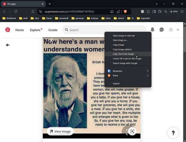 brave-right-click-menu-picture-copy-text-from-image-pinterest.com