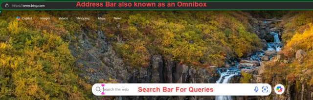 search-and-address-bars