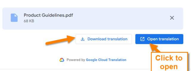 google-translate-document-view-options