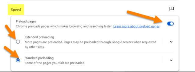 google-chrome-preloading-pages-section