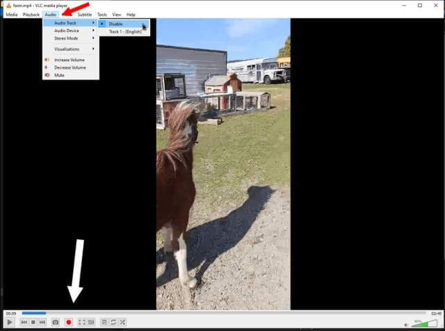 vlc-audio-tract-disabled-record-red-button