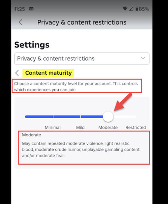 roblox-app-content-maturity-settings-screen