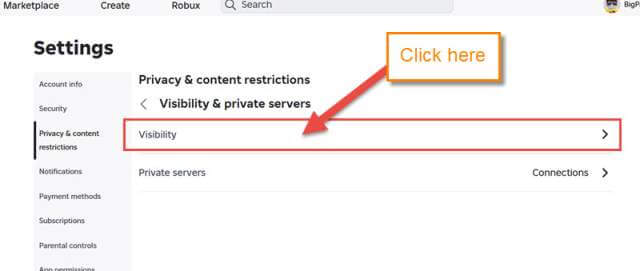 roblox-visibility-settings-link