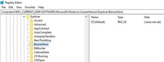 regedit-bannerstore-registry-key