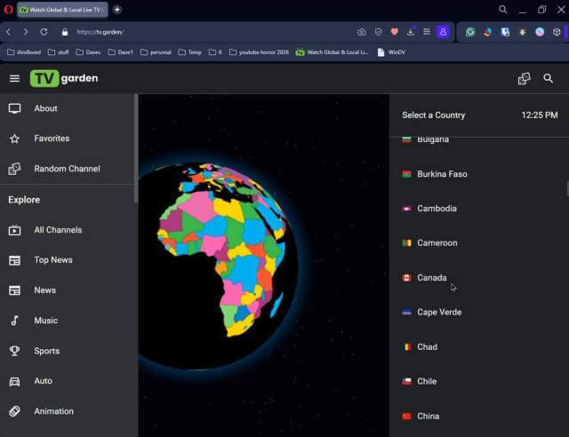 tv-garden-other-options-favorites-random-channel-news-movies-music-sports-auto-animation