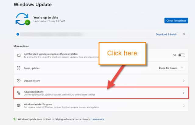 windows-11-advanced-options-link