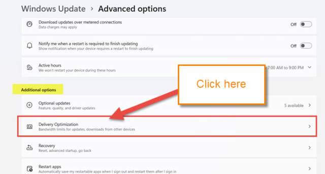 windows-11-delivery-optimization-link