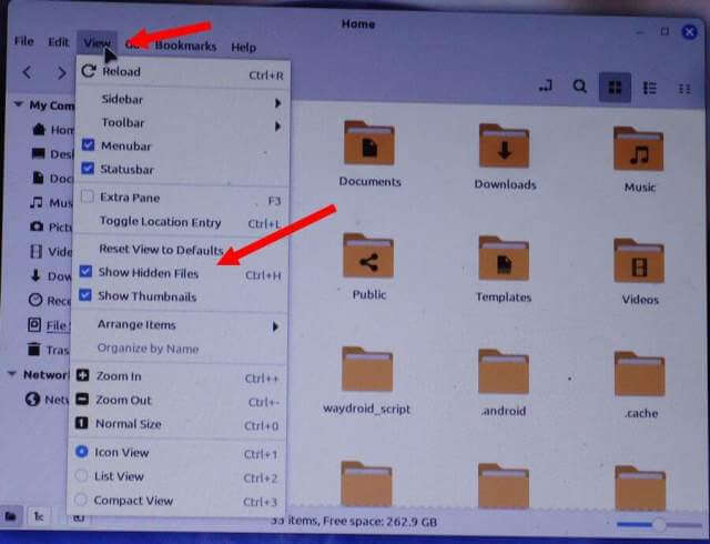 linux-mint-nemo-file-explorer-view-show-hidden-files