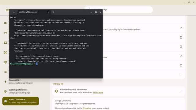 chromebooke-kinux-installed-terminal-access-only