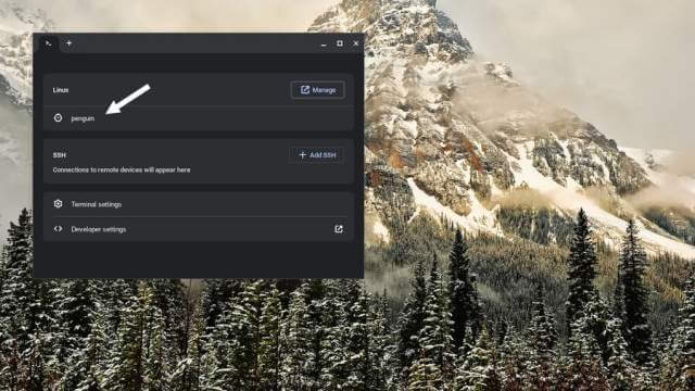 chrombook-terminal-linux-penguin
