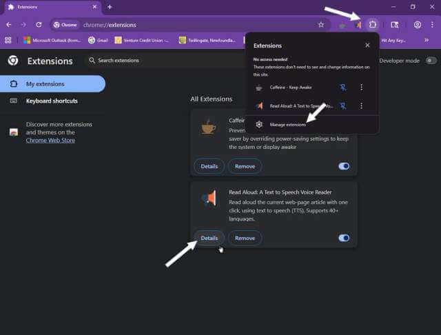 chrome-manage-extensions-read-aloud-text-to-speech-voice-reader-details