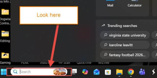 windows-11-search-box